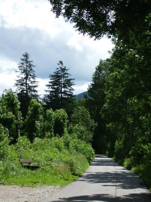Vila Lahnerhof Campo Tures Exteriér fotografie