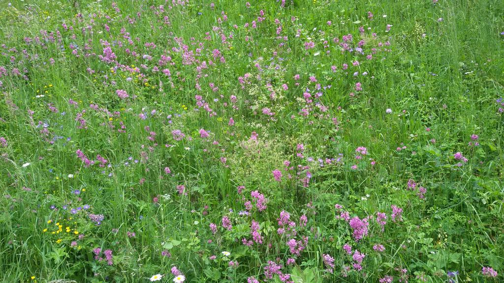 Vila Lahnerhof Campo Tures Exteriér fotografie